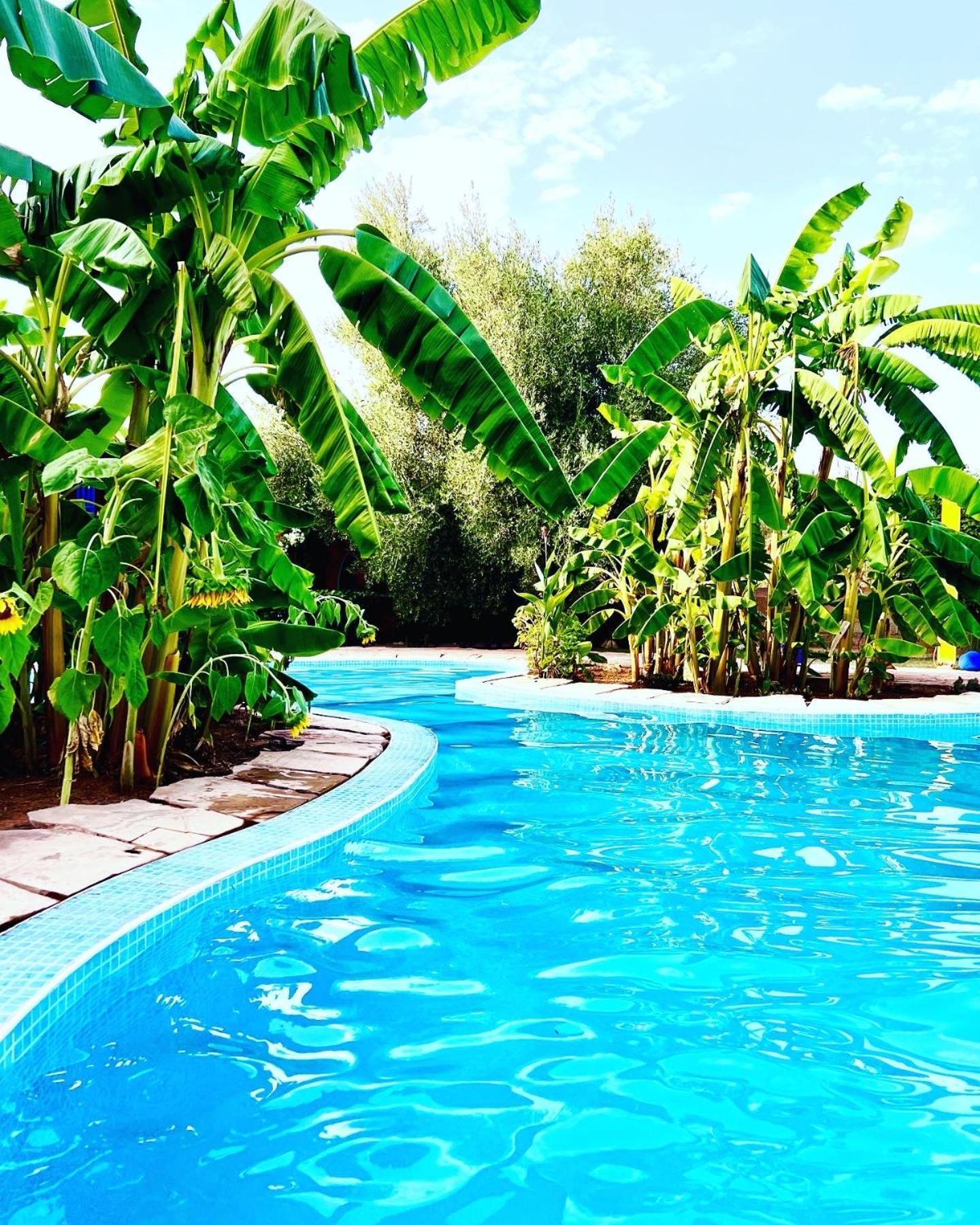 Douar Akkara Le Domaine De Carole Marrakech Bed & Breakfast エクステリア 写真
