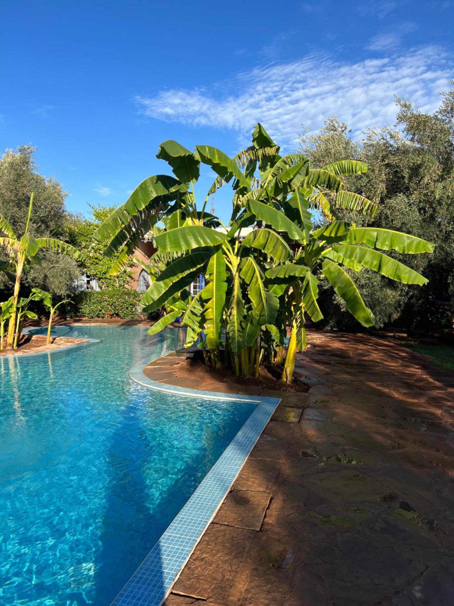 Douar Akkara Le Domaine De Carole Marrakech Bed & Breakfast エクステリア 写真