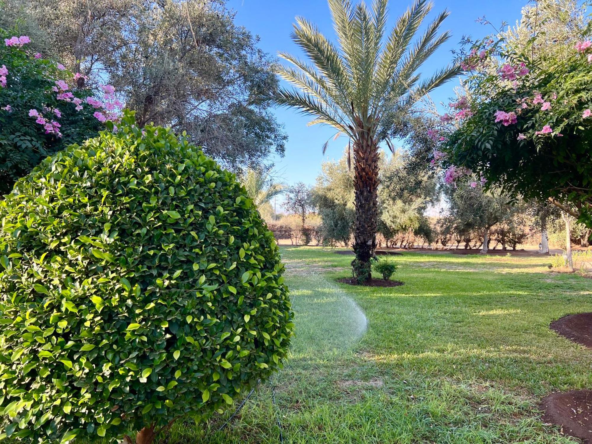 Douar Akkara Le Domaine De Carole Marrakech Bed & Breakfast エクステリア 写真