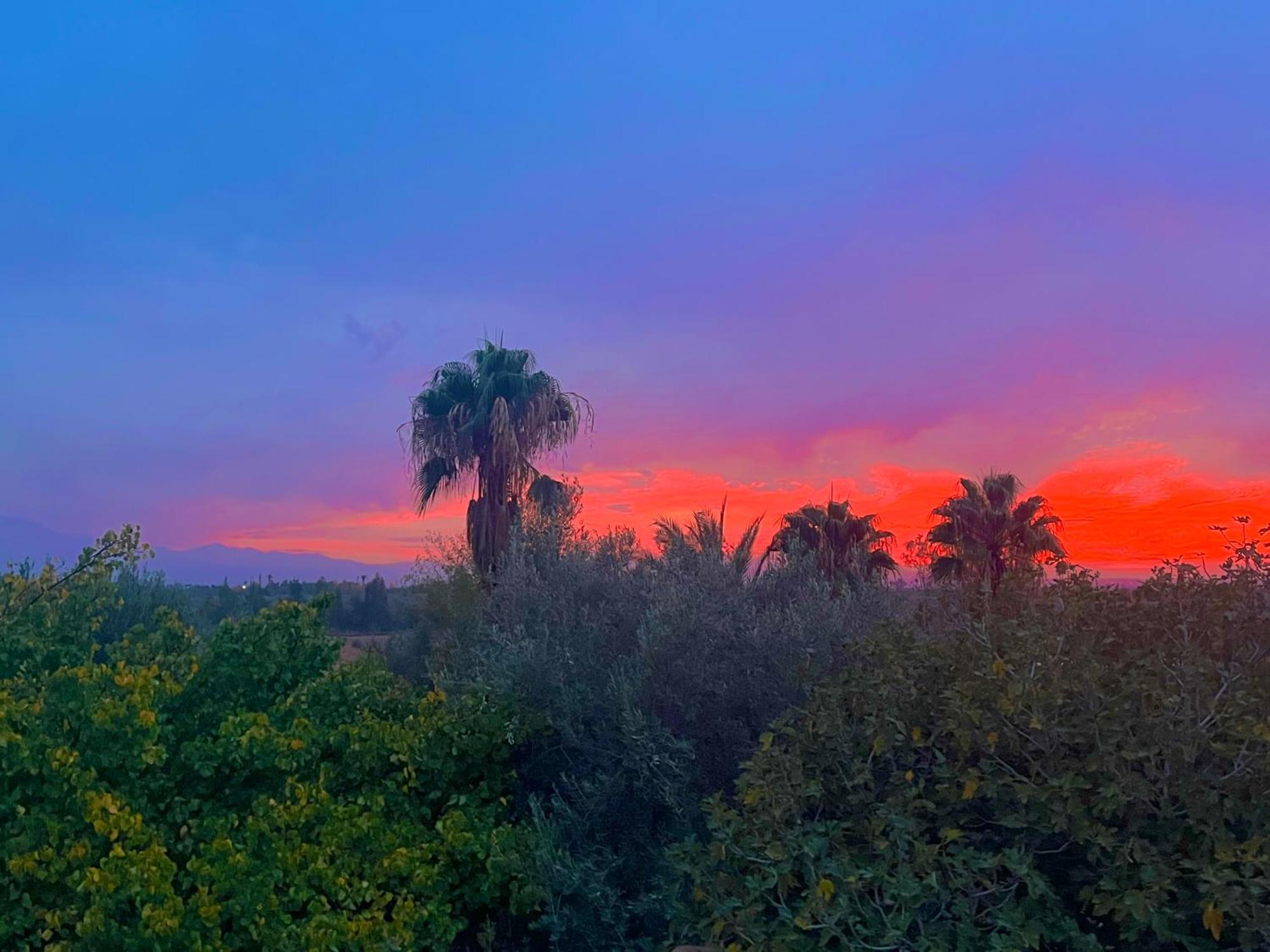 Douar Akkara Le Domaine De Carole Marrakech Bed & Breakfast エクステリア 写真