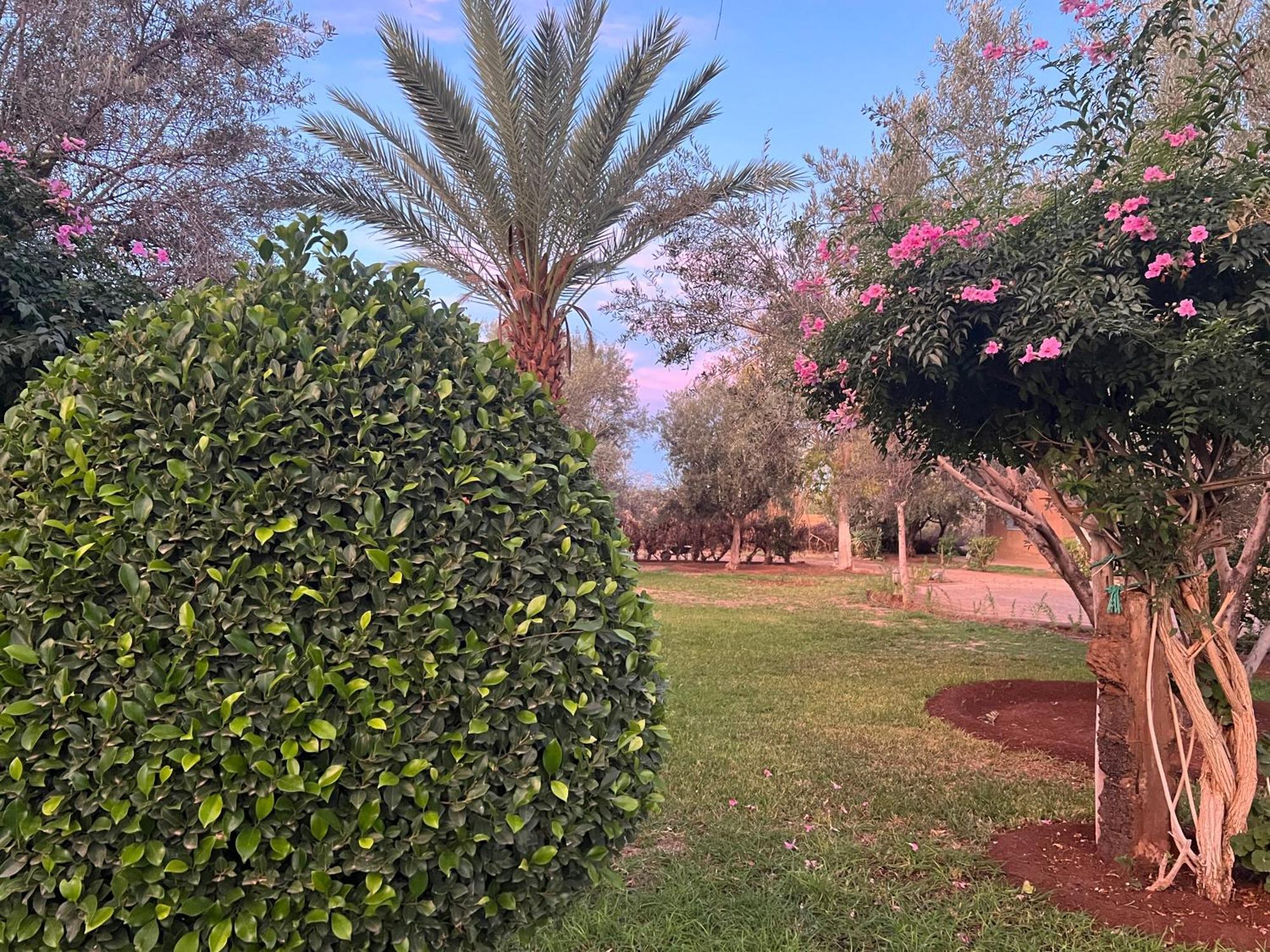 Douar Akkara Le Domaine De Carole Marrakech Bed & Breakfast エクステリア 写真