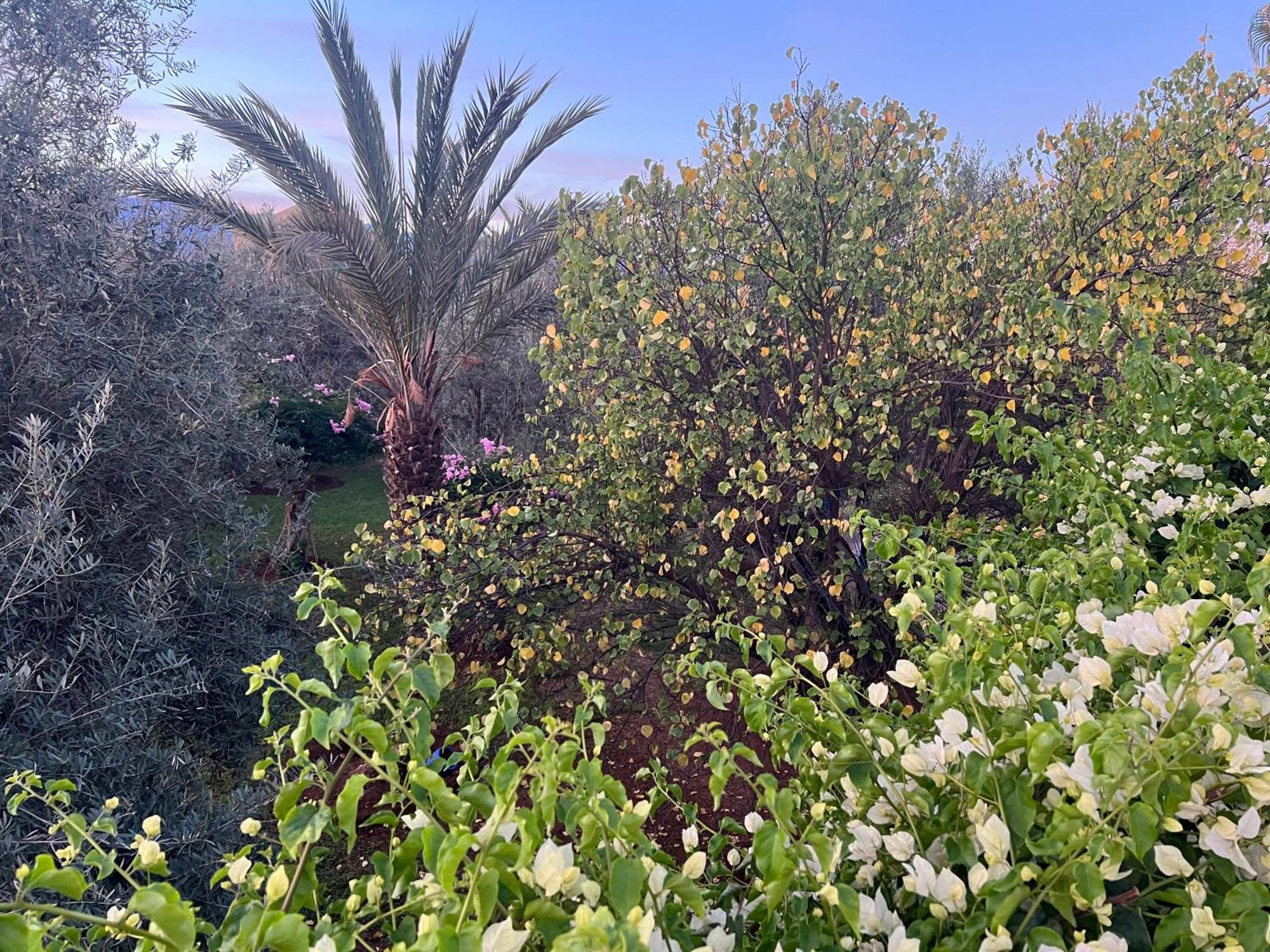 Douar Akkara Le Domaine De Carole Marrakech Bed & Breakfast エクステリア 写真