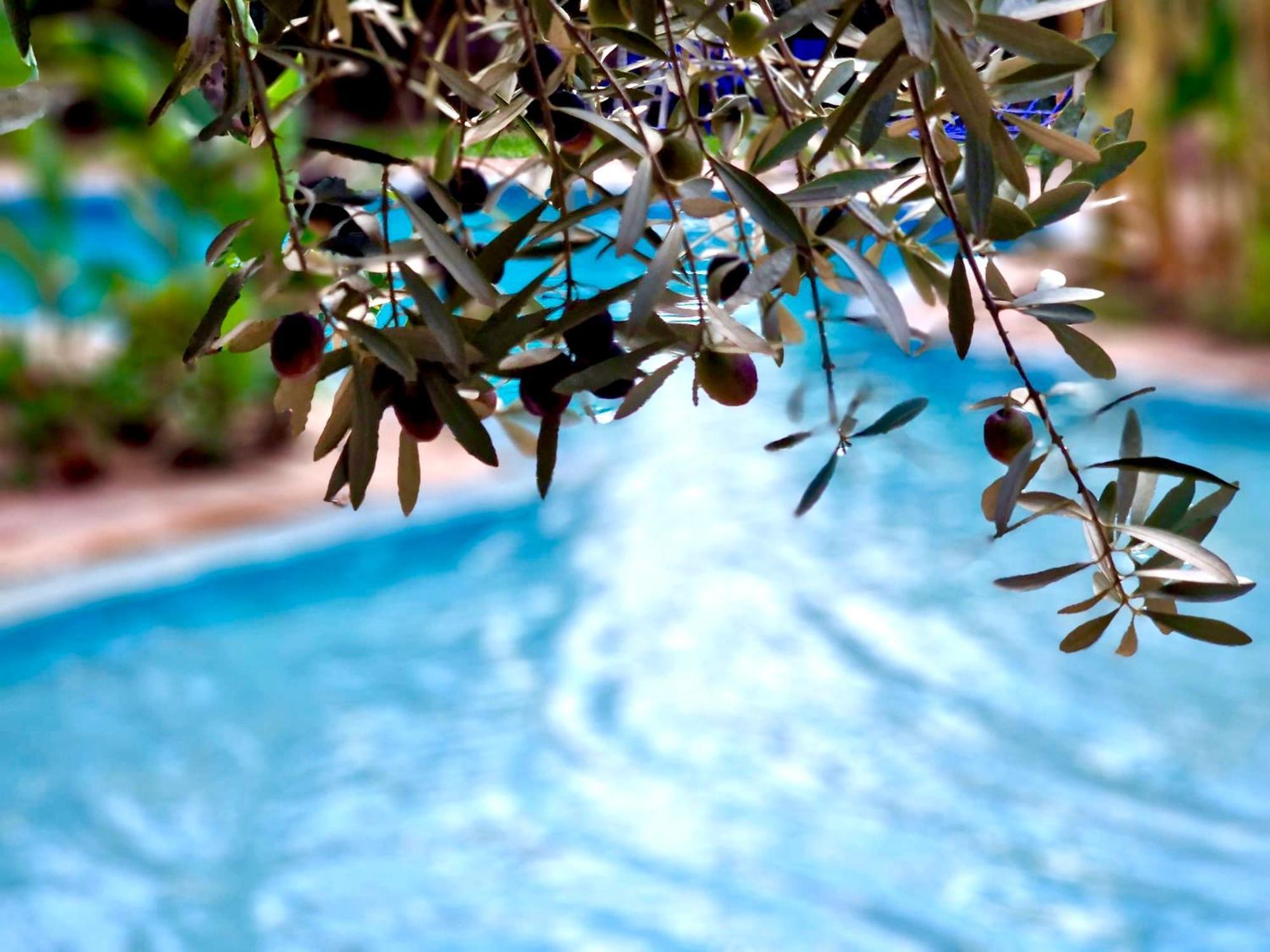 Douar Akkara Le Domaine De Carole Marrakech Bed & Breakfast エクステリア 写真
